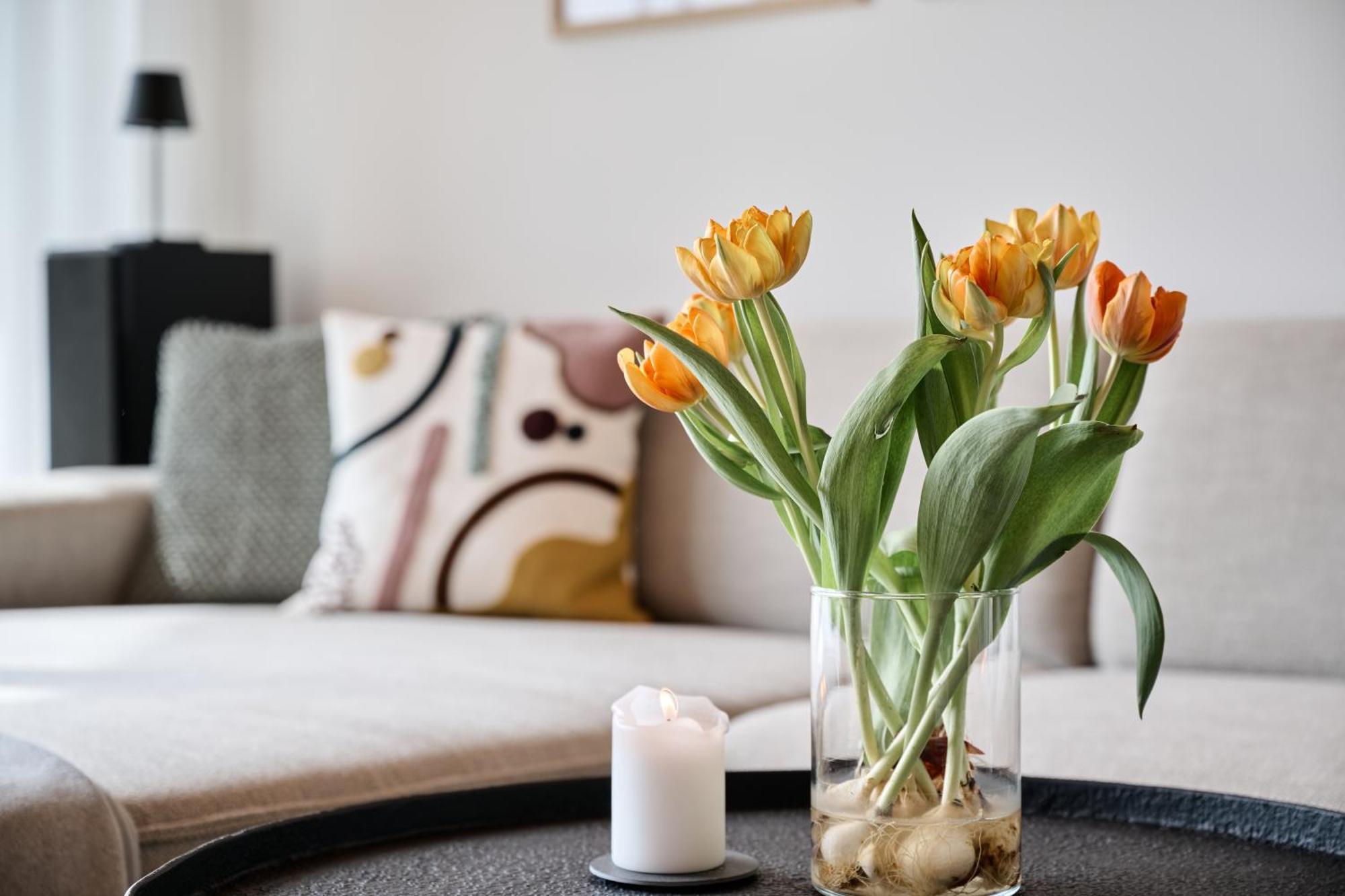 Refugio Villa Sittersdorf Ngoại thất bức ảnh